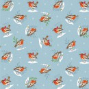 Winter Wonderland Col 101 Robin